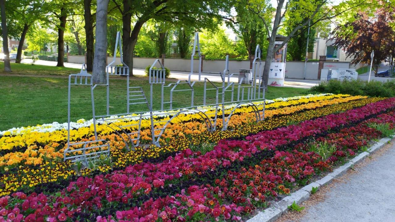 Alte Baeckerei Bautzen - 00 #Kids# Im Zentrum, Mit Parkplatz, Top Ausgestattet Екстер'єр фото